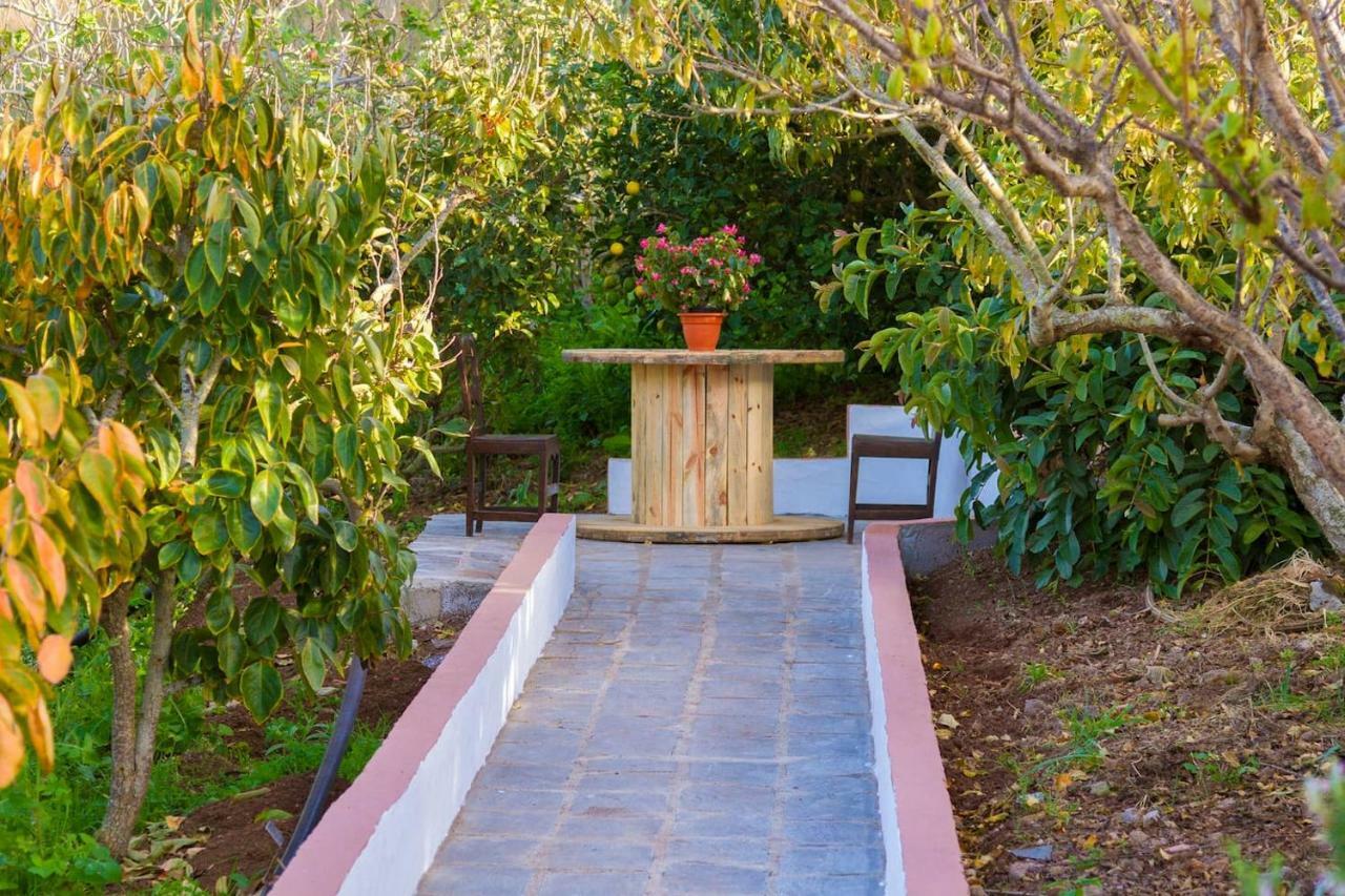 Casa Cueva Villa Aday Santa Maria de Guia de Gran Canaria Exteriér fotografie