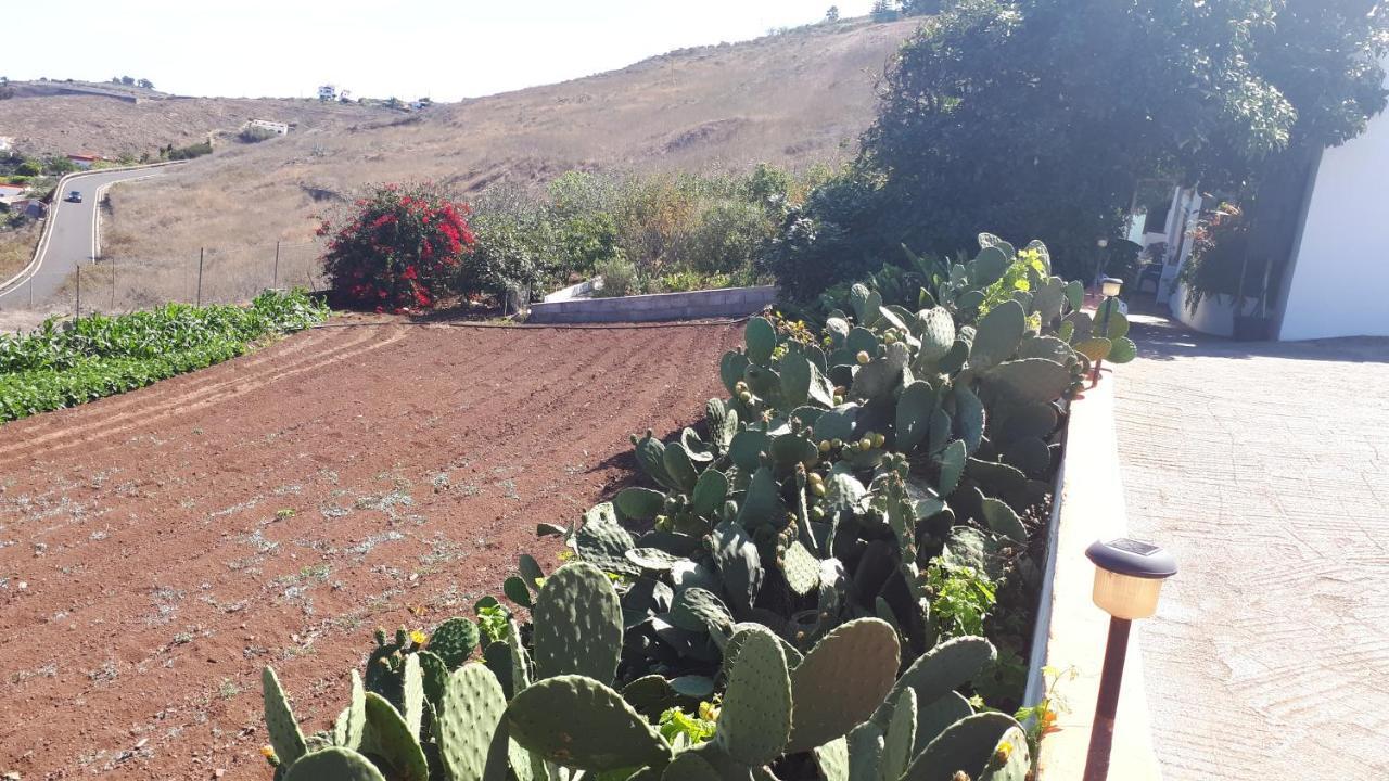 Casa Cueva Villa Aday Santa Maria de Guia de Gran Canaria Exteriér fotografie